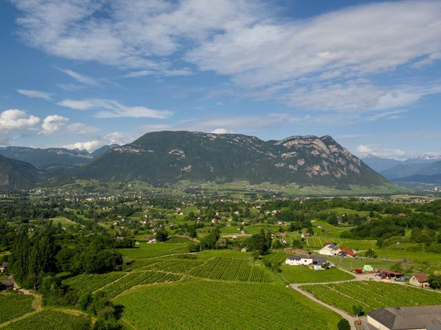 Le mariage de Tuann et Violaine à Les Marches, Savoie 4