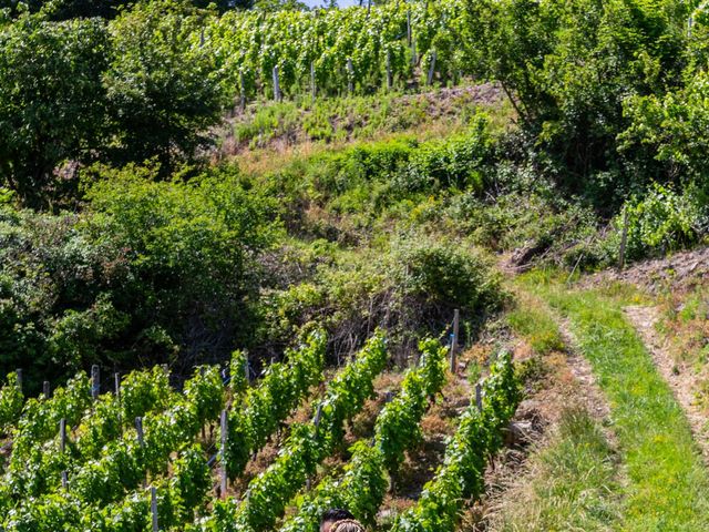 Le mariage de Tuann et Violaine à Les Marches, Savoie 5