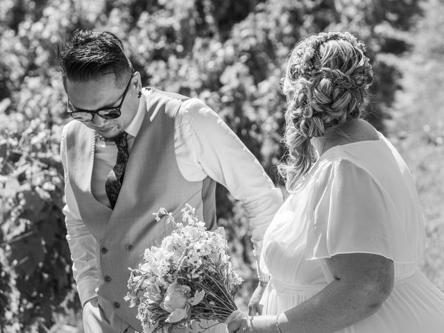 Le mariage de Tuann et Violaine à Les Marches, Savoie 7