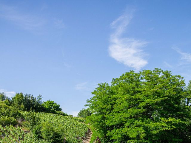 Le mariage de Tuann et Violaine à Les Marches, Savoie 35