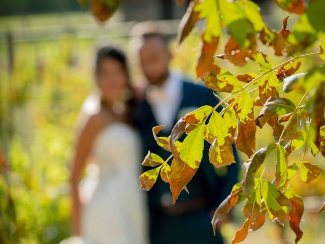 Le mariage de Antony et Emilie à Lesparre-Médoc, Gironde 63