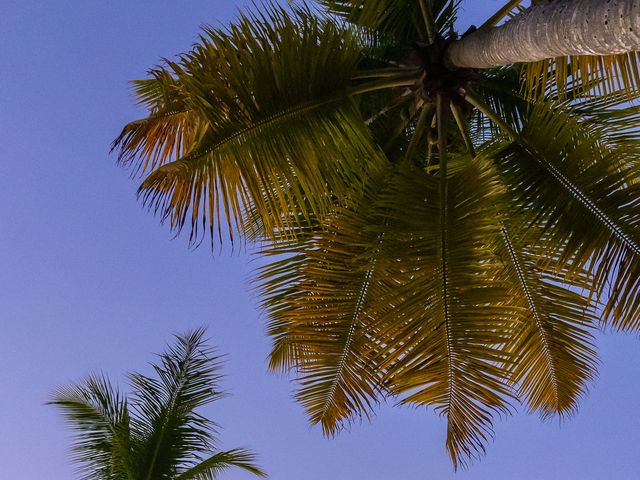 Le mariage de Julien et Camille à Le Gosier, Guadeloupe 18
