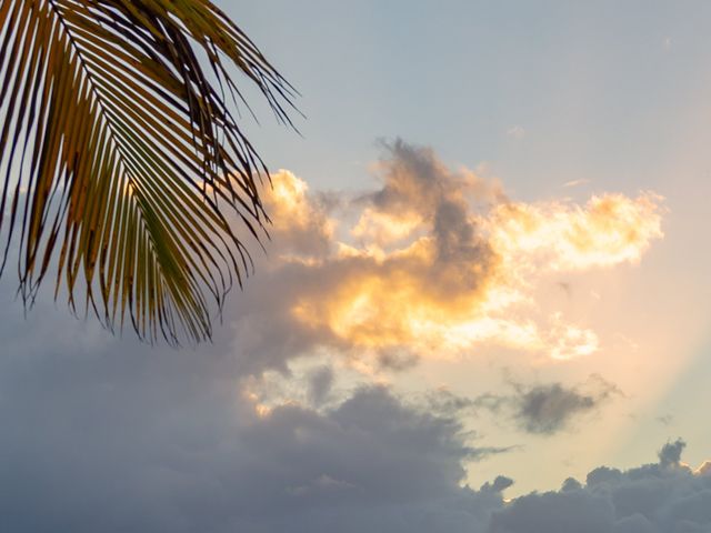 Le mariage de Julien et Camille à Le Gosier, Guadeloupe 20