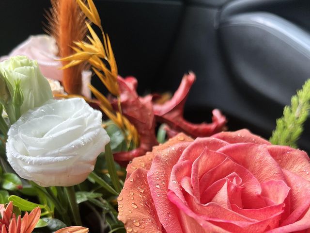 Le mariage de Alexis et Emeline à Loubieng, Pyrénées-Atlantiques 15