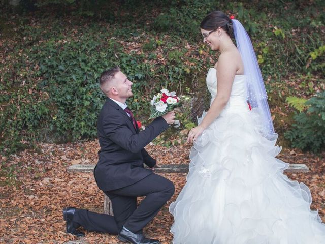 Le mariage de Gael et Camille à Domfront, Orne 6