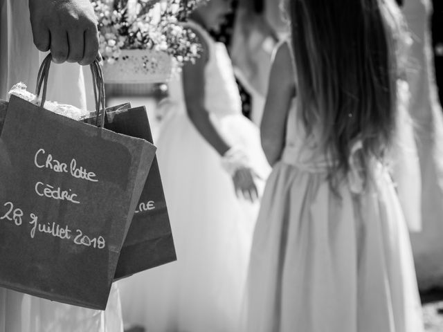 Le mariage de Cédric et Charlotte à Rouen, Seine-Maritime 51