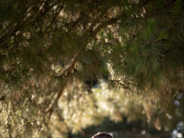 Le mariage de Mathurin et Camille à Vianne, Lot-et-Garonne 4