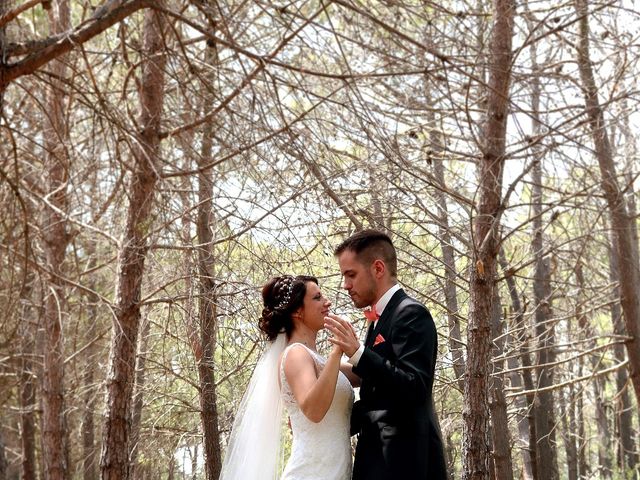 Le mariage de Léa et Matthieu à Bize-Minervois, Aude 22