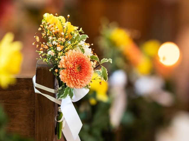 Le mariage de Jonathan et Delphine à Jouy-Mauvoisin, Yvelines 9