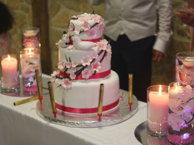 Le mariage de Lionel et Cindy à Montigny-le-Bretonneux, Yvelines 37
