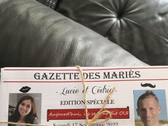 Le mariage de Cédric  et Lucie à Villembray, Oise 54