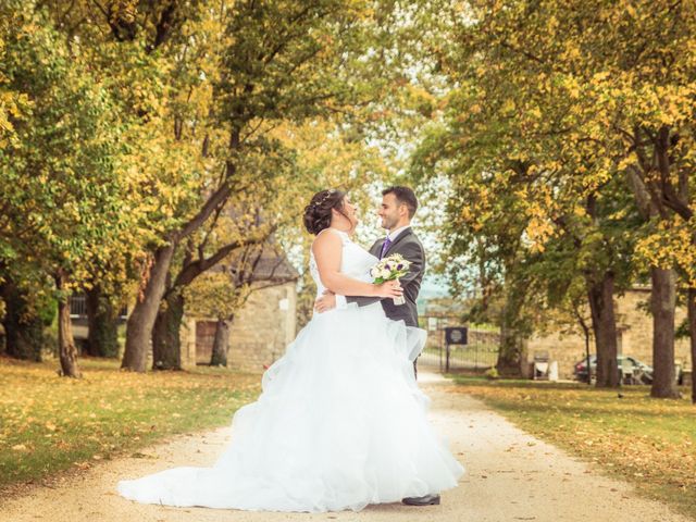 Le mariage de Aurélien et Alizée à Chaponnay, Rhône 19