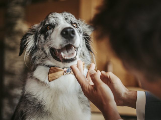 Le mariage de Gary et Tiphaine à Cordon, Haute-Savoie 35