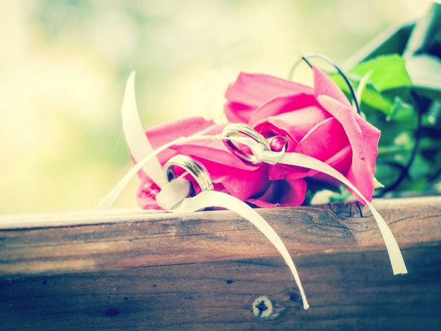 Le mariage de Stéphane et Marie-Laure à Portet-sur-Garonne, Haute-Garonne 8