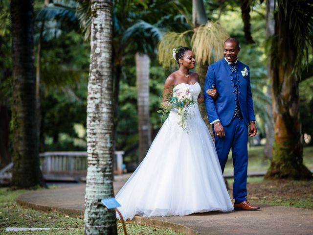 Le mariage de Harry et Cécilia à Ducos (Martinique), Martinique 34