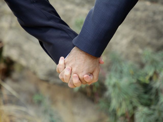 Le mariage de Stéphane et James à Saint-Hilaire-de-Brethmas, Gard 3