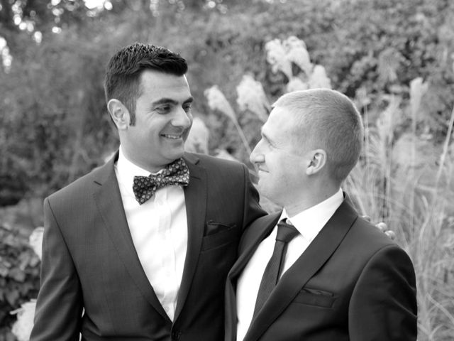 Le mariage de Stéphane et James à Saint-Hilaire-de-Brethmas, Gard 10