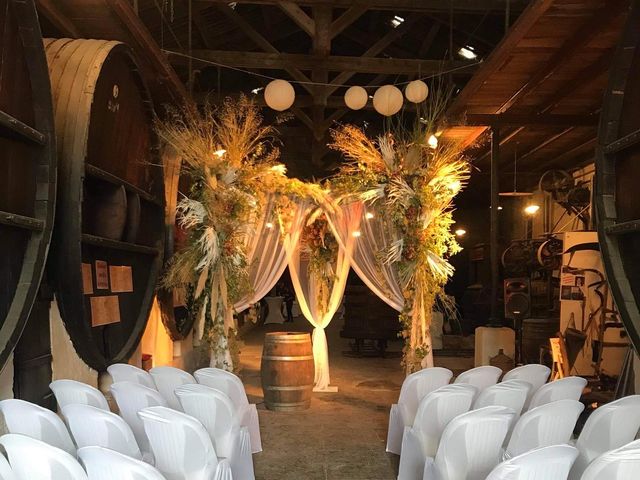 Le mariage de Christopher  et Cloé à Mauguio, Hérault 1