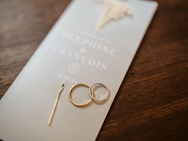 Le mariage de François et Delphine à Montireau, Eure-et-Loir 13