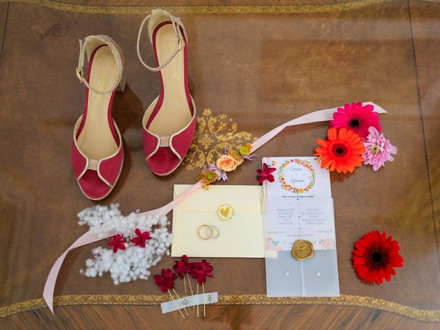 Le mariage de Sylvain et Carine à Tabanac, Gironde 29