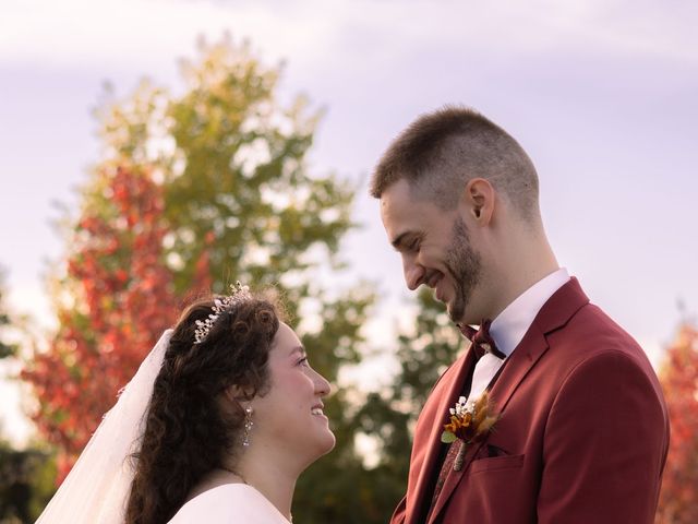 Le mariage de François et Amanda à Montech, Tarn-et-Garonne 18