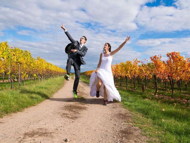 Le mariage de Luc et Lucie à Zellwiller, Bas Rhin 15