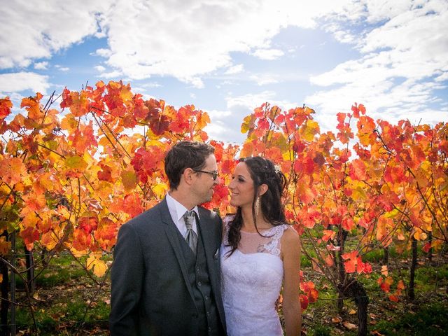Le mariage de Luc et Lucie à Zellwiller, Bas Rhin 52