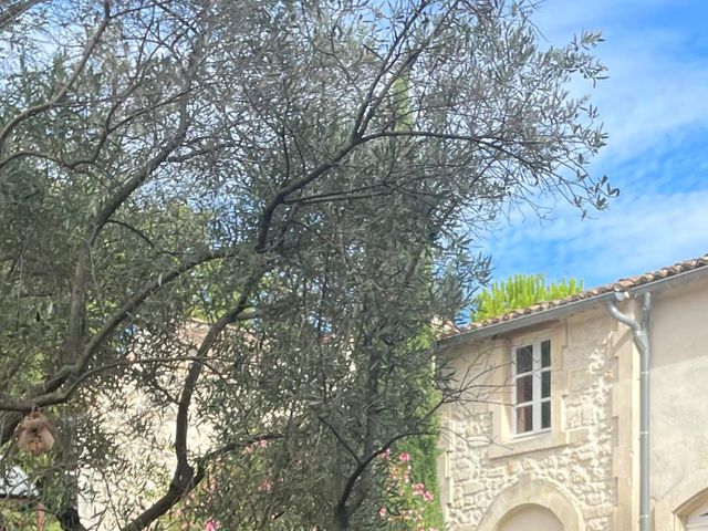 Le mariage de Chris  et Clemence  à Pierrelatte, Drôme 6