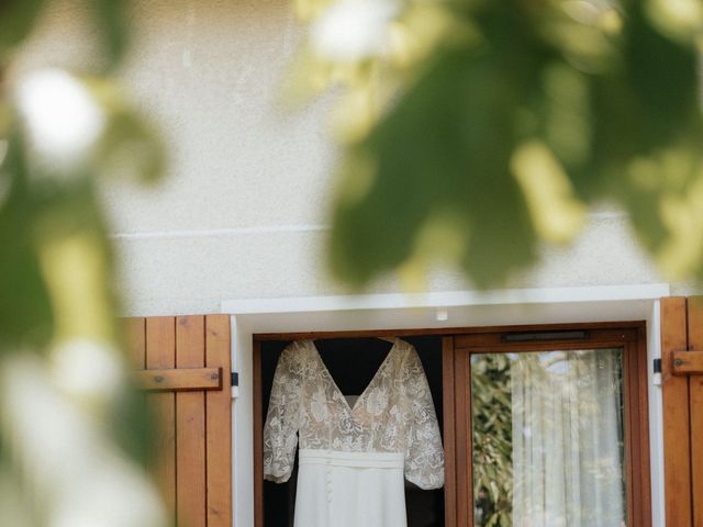 Le mariage de Gryshka et Déborah à Saint-Antoine-du-Rocher, Indre-et-Loire 16