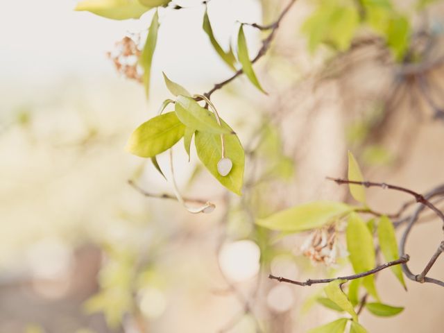 Le mariage de Benjamin et Manon à Vaugines, Vaucluse 16