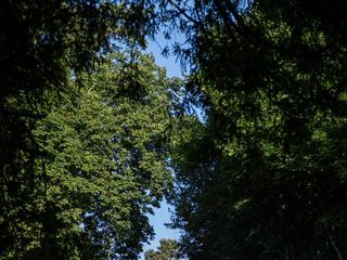 Le mariage de Nadège et Cédric 1