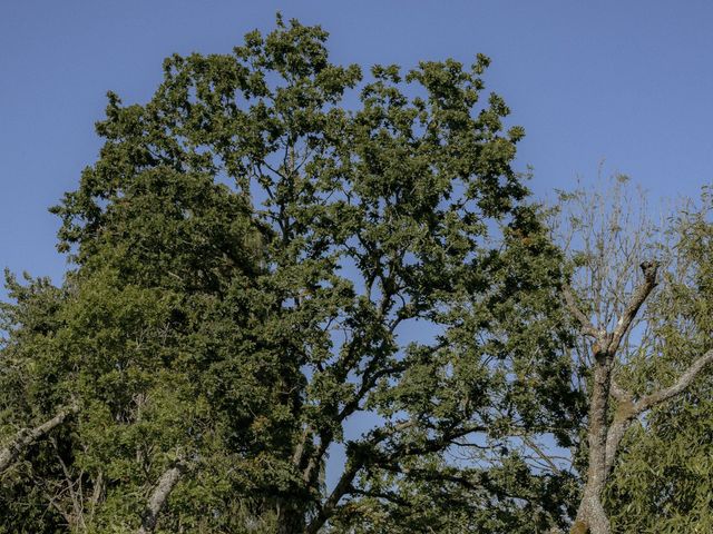 Le mariage de Matthieu et Francoise à Treffrin, Côtes d&apos;Armor 10