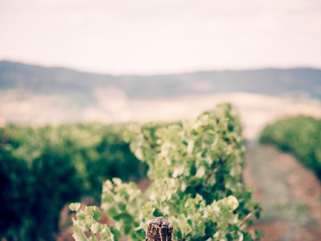 Le mariage de Matthieu et Charline à Pieusse, Aude 51