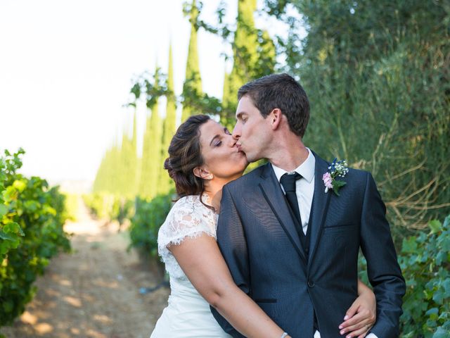 Le mariage de Mathieu et Perroline à Crestet, Vaucluse 5