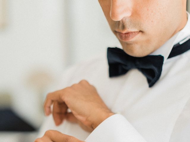 Le mariage de Danish et Farah à Cannes, Alpes-Maritimes 14
