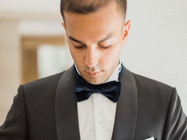 Le mariage de Danish et Farah à Cannes, Alpes-Maritimes 16