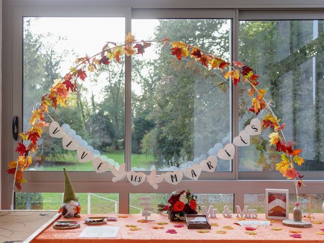 Le mariage de Sebastien et Emilie à Soisy-sur-Seine, Essonne 14