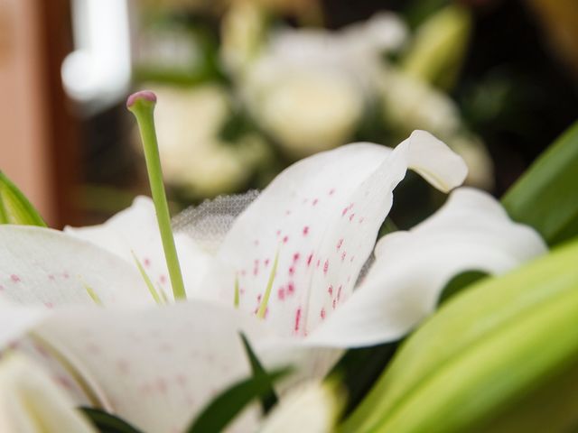 Le mariage de Sébastien et Séverine à Cornebarrieu, Haute-Garonne 3