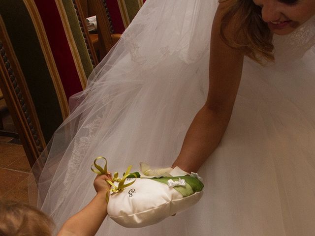 Le mariage de Sébastien et Séverine à Cornebarrieu, Haute-Garonne 37
