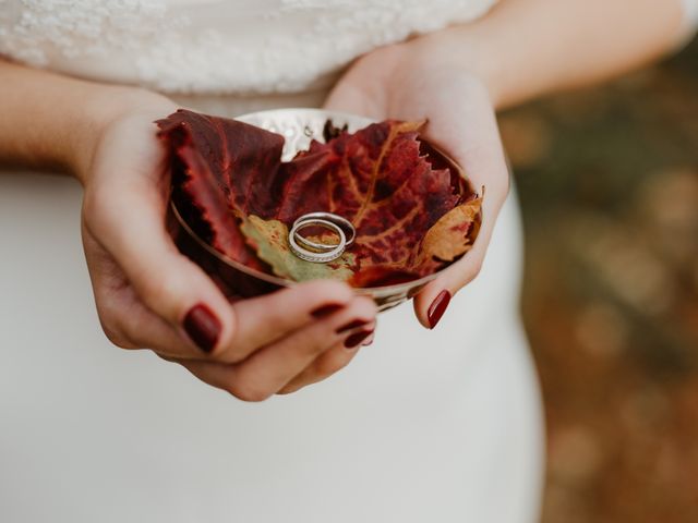 Le mariage de Raphaël et Marion à Santenay, Côte d&apos;Or 46