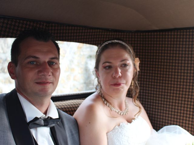 Le mariage de Ludovic et Elodie à Sceaux-sur-Huisne, Sarthe 2