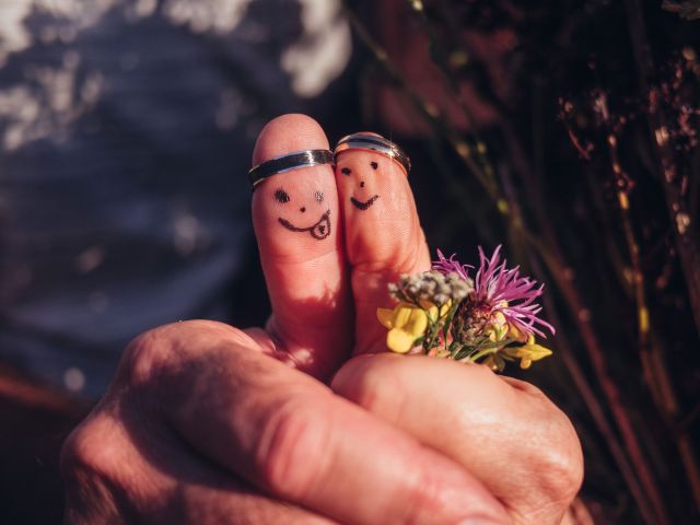 Le mariage de Dominique et Laurence à Ostwald, Bas Rhin 2