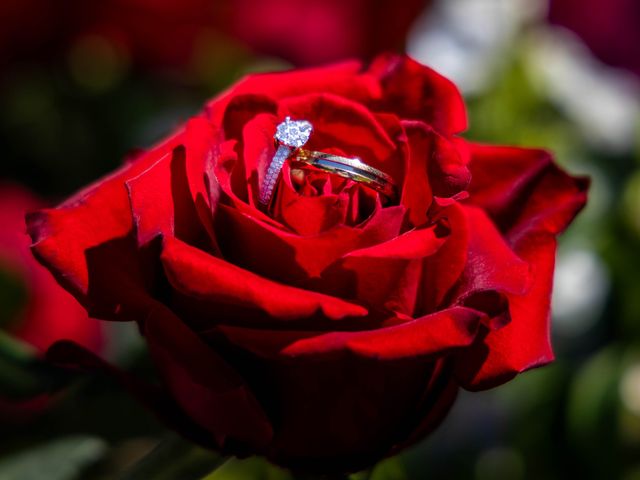 Le mariage de Christophe et Liliane à Saint-Pierre-en-Faucigny, Haute-Savoie 18