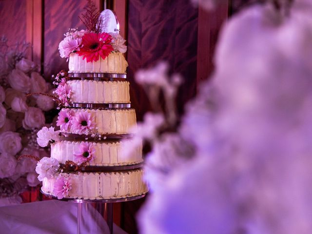 Le mariage de Christophe et Liliane à Saint-Pierre-en-Faucigny, Haute-Savoie 36