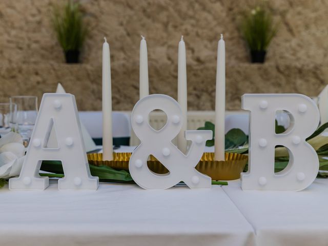 Le mariage de Axelle et Beatriz à Tartaras, Loire 43