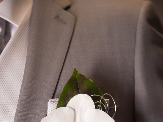 Le mariage de Sylvain et Elodie à Tullins, Isère 17