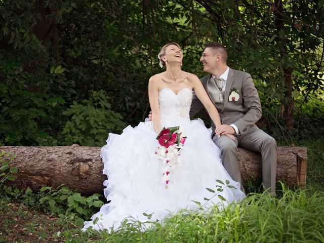 Le mariage de Sylvain et Elodie à Tullins, Isère 59