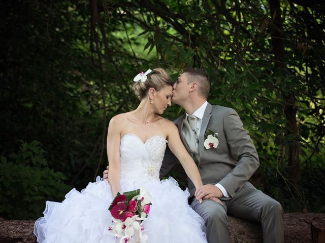 Le mariage de Sylvain et Elodie à Tullins, Isère 61