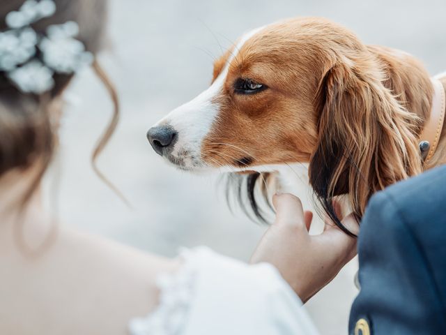 Le mariage de Servane et Alexis à Champagnac-la-Rivière, Haute-Vienne 1