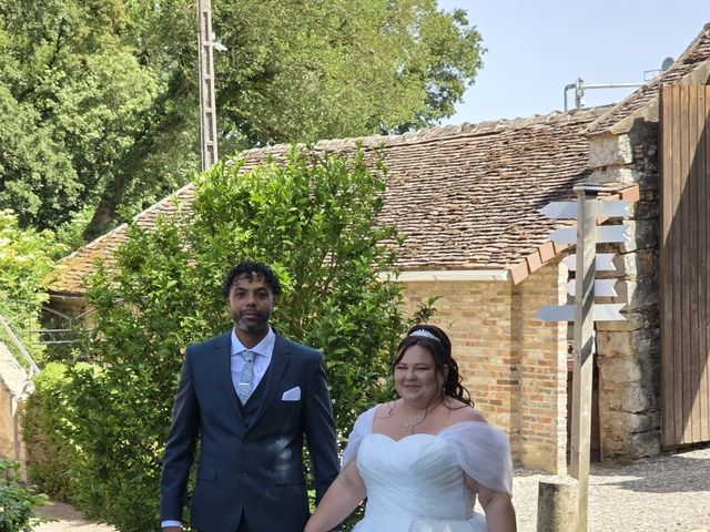 Le mariage de Vincent  et Laura  à Marolles-sur-Seine, Seine-et-Marne 1
